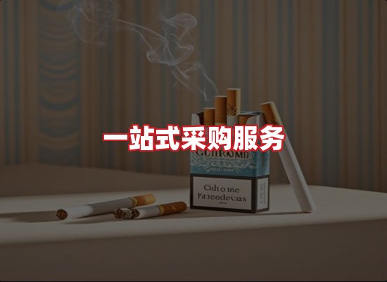 专业团队
